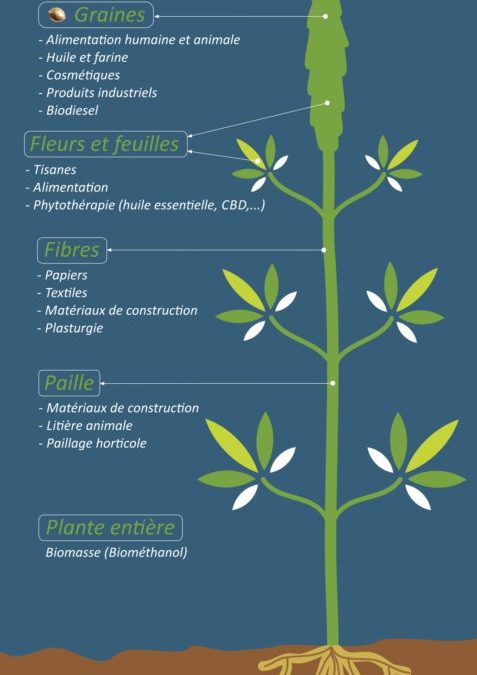 A la rencontre de nos producteurs locaux