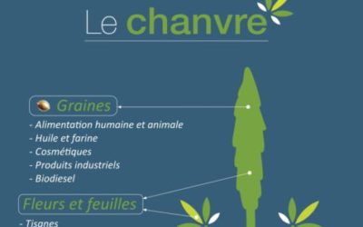 A la rencontre de nos producteurs locaux